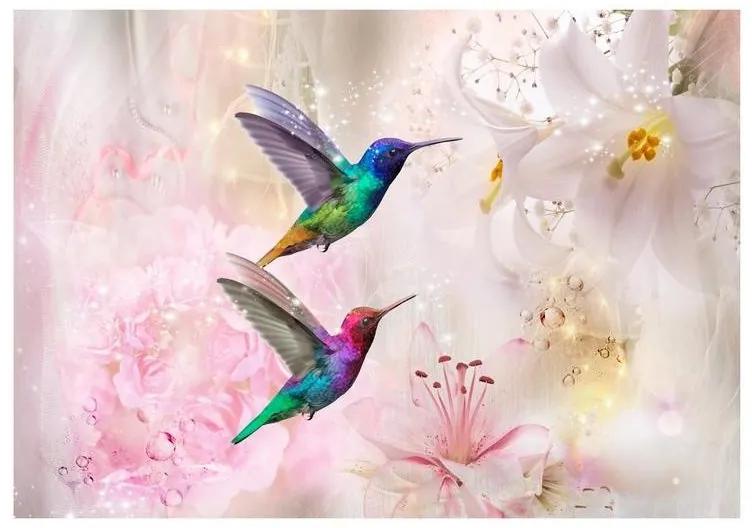 Fotomurale adesivo Colourful Hummingbirds (Pink)
