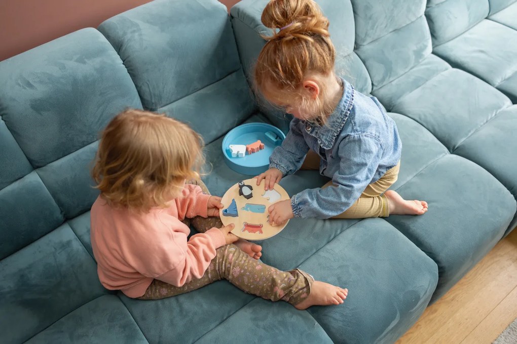 Scatola Animali da inserire