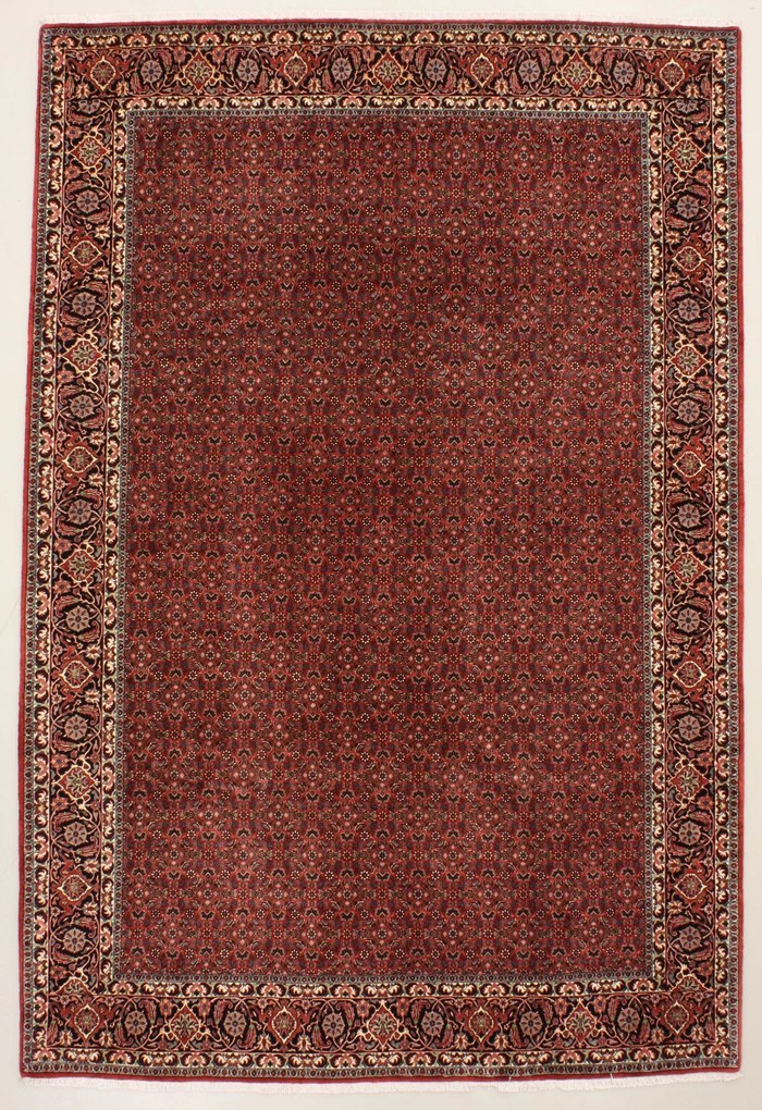 Bidjar Tappeto persiano 310 x 210 (Iran) Annodato A Mano