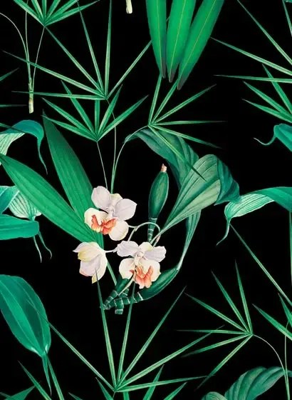 Florale Tapete Palm Springs von MINDTHEGAP - WP20360