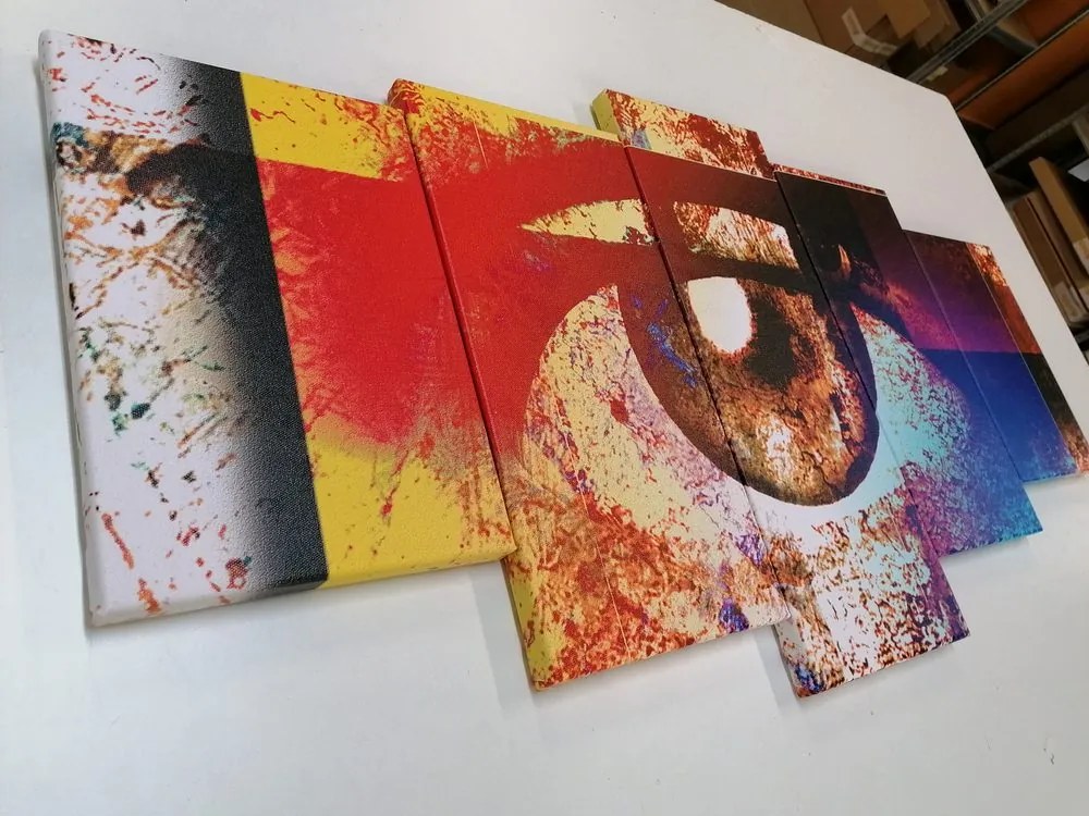 Quadri 5 pezzi – Occhio surrealista