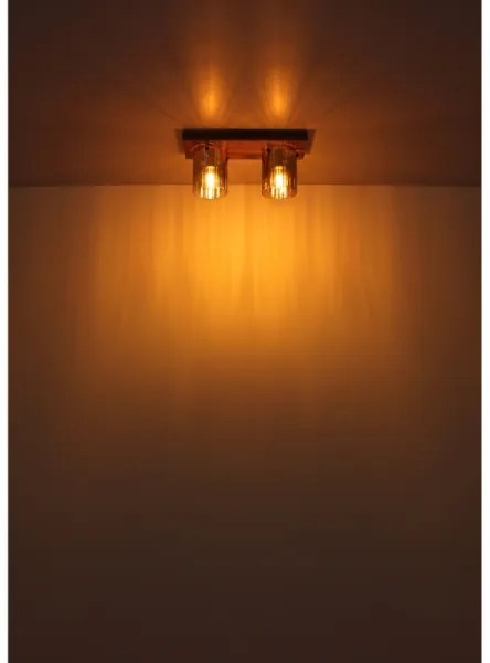 Globo 15915-2 - Plafoniera UNDERWOOD 2xE27/40W/230V 16x41 cm