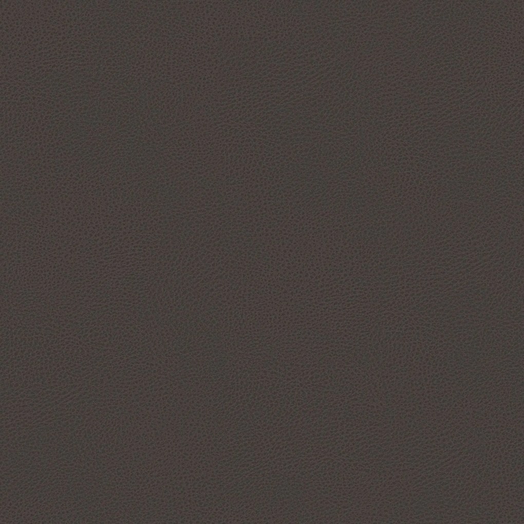 Bisont cuscino disponibile in diversi colori realizzato in microfibra effetto pelle smacchiabile T15 marrone