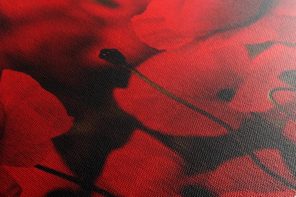Quadro su tela – Campo di papaveri selvatici