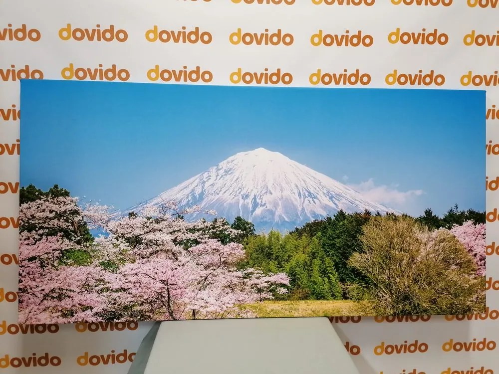 Quadro su tela – Monte Fuji