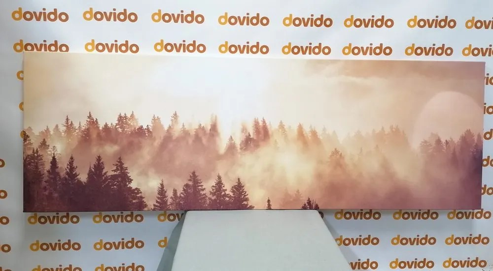 Stampa su tela – Nebbia sopra la foresta