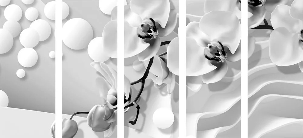 Quadri 5 pezzi – Orchidea in bianco e nero su sfondo astratto