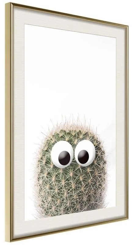 Poster  Funny Cactus II  Cornice Quadri Cornice d'oro con passe-partout, Larghezza x Altezza Home decor 20x30