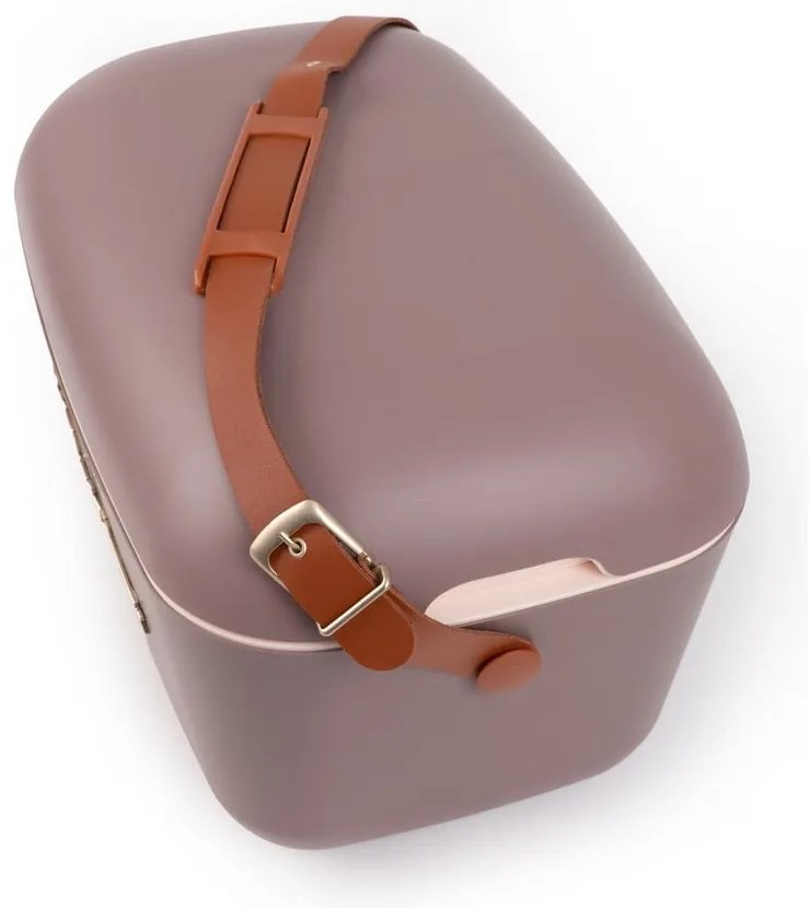 Borsa frigo marrone 12 l Classic Gold – Polarbox