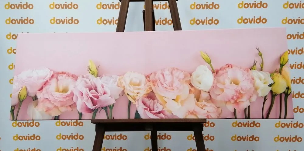 Stampa su tela – Fiori fioriti pastello