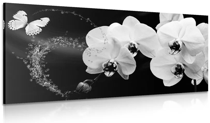 Stampa su tela – Orchidea e farfalla in bianco e nero