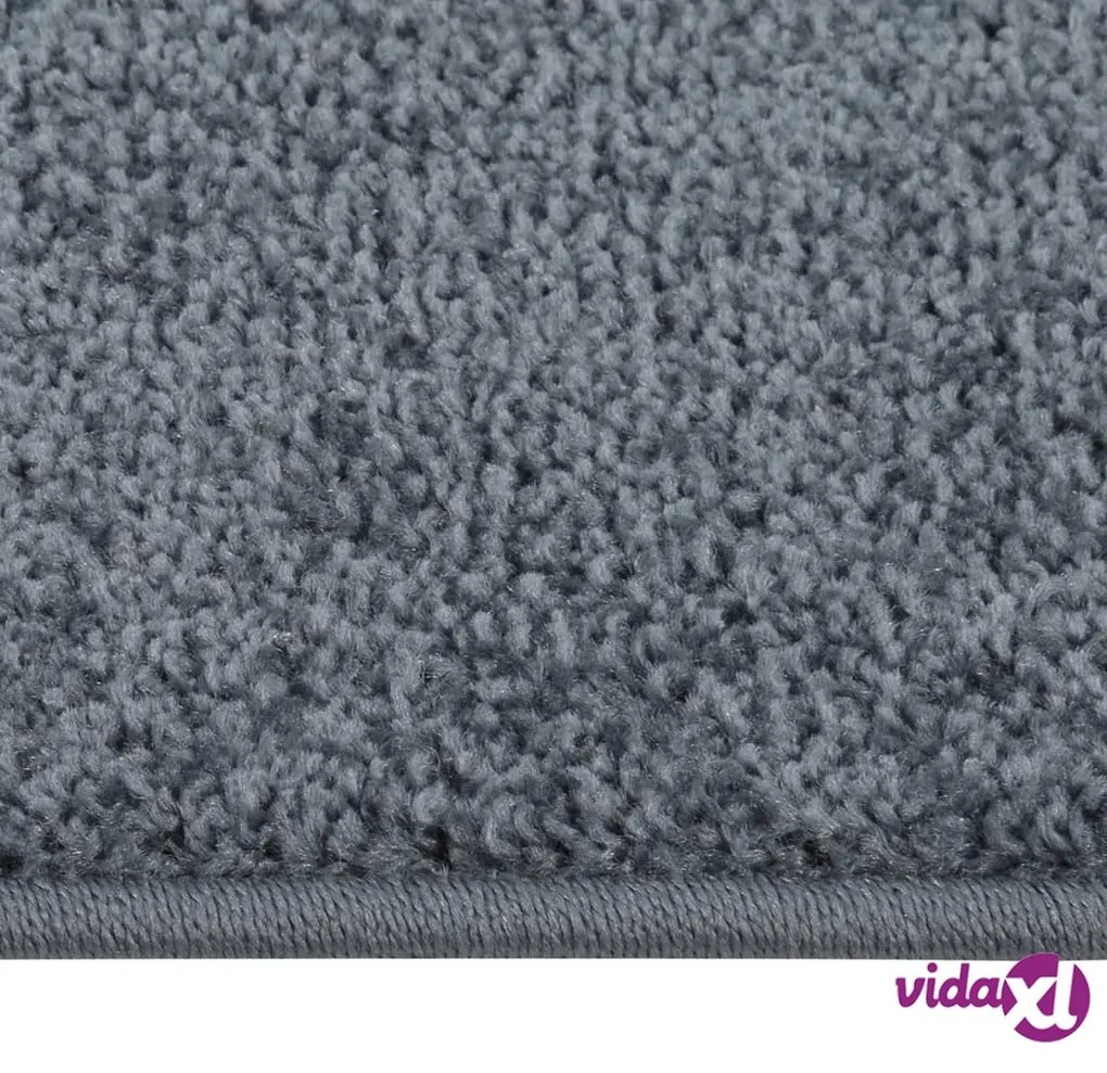 vidaXL Tappeto a Pelo Corto 120x170 cm Antracite