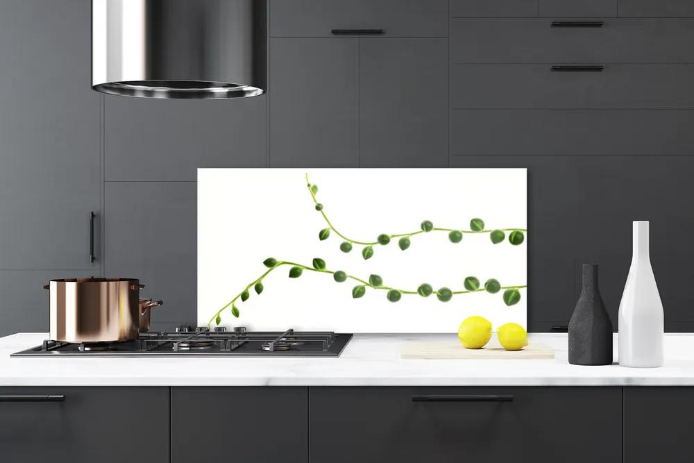 Pannello cucina paraschizzi Pianta decorativa 100x50 cm