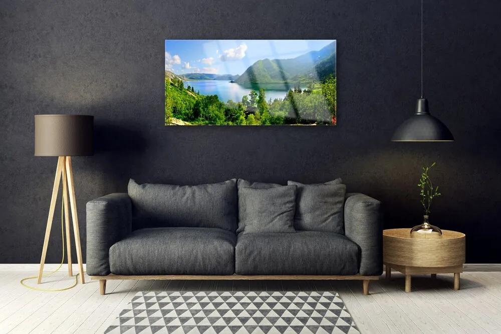 Quadro di vetro Foresta Lago Montagne Paesaggio 100x50 cm