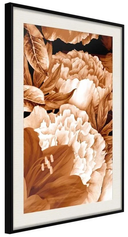 Poster  Peonies in Sepia  Cornice Quadri Cornice nera con pass-partout, Larghezza x Altezza Home decor 30x45