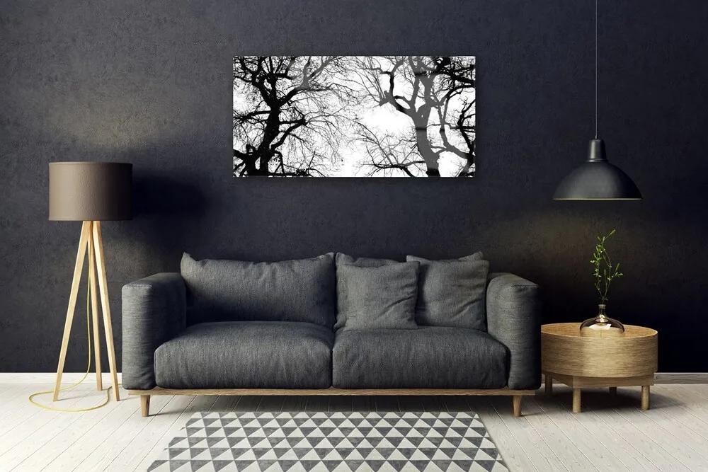 Quadro in vetro acrilico Alberi della natura in bianco e nero 100x50 cm