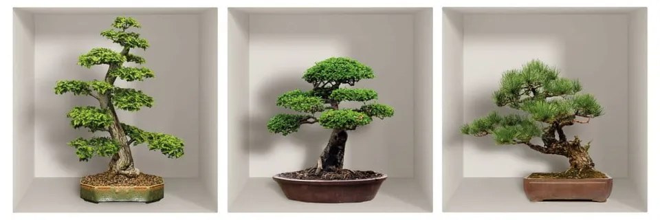 Set di 3 adesivi murali 3D Bonzais - Ambiance