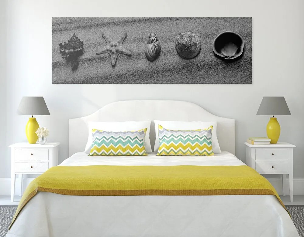 Quadro su tela – Conchiglie sulla spiaggia sabbiosa in bianco e nero