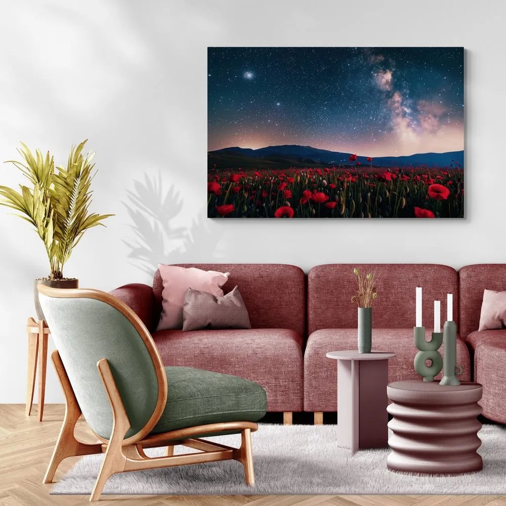 Quadro su tela – Prato di papaveri selvatici sotto le stelle