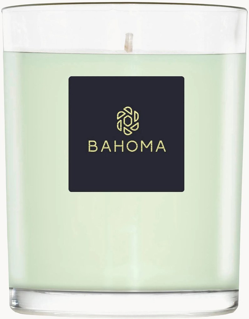 Candela profumata fatta a mano Alchemy (primula, legno d'ambra)