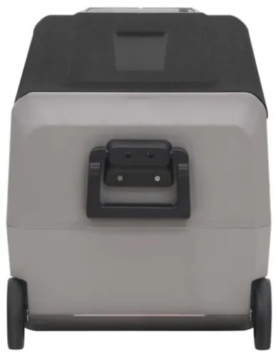 Borsa Frigo con Ruote e Adattatore Nera e Grigia 36 L PP e PE