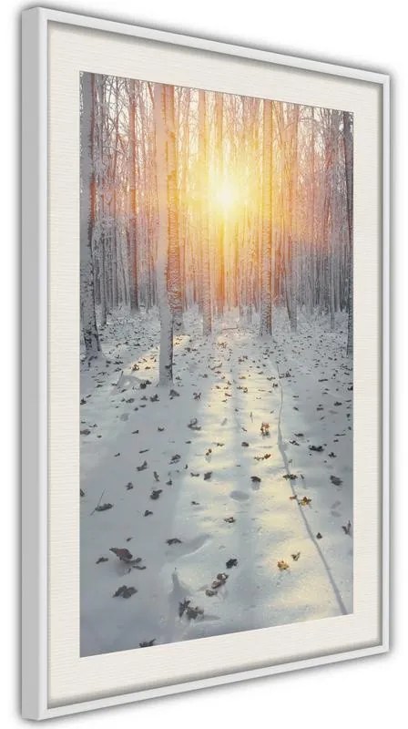 Poster  Frosty Sunset  Cornice Quadri Cornice d'oro con passe-partout, Larghezza x Altezza Home decor 20x30