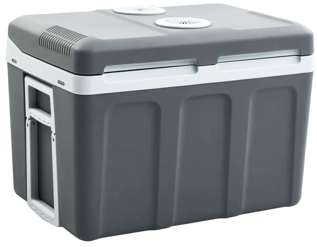 Scatola Termoelettrica Portatile 40 L 12 V 230 V E /