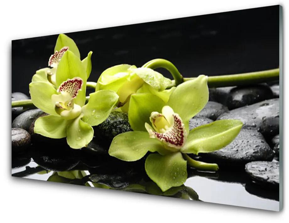 Quadro in vetro acrilico Pianta dell'orchidea del fiore 100x50 cm