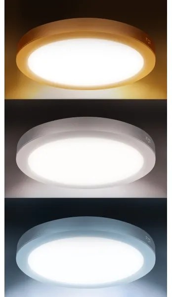 Solight WD244-W - Pannello LED 2 in 1 24W/230V 3000/4000/6000K Ø 30 cm IP54 bianco