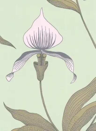 Cole & Son Carta da parati Orchid - Mint/ Hellrosa