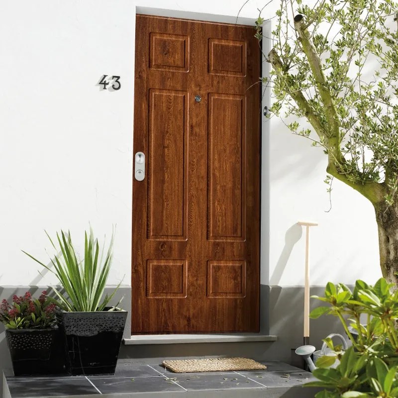 Porta blindata DI.BI. Iro L 90 x H 210 cm in PVC noce scuro, apertura spingere a destra, falso telaio incluso