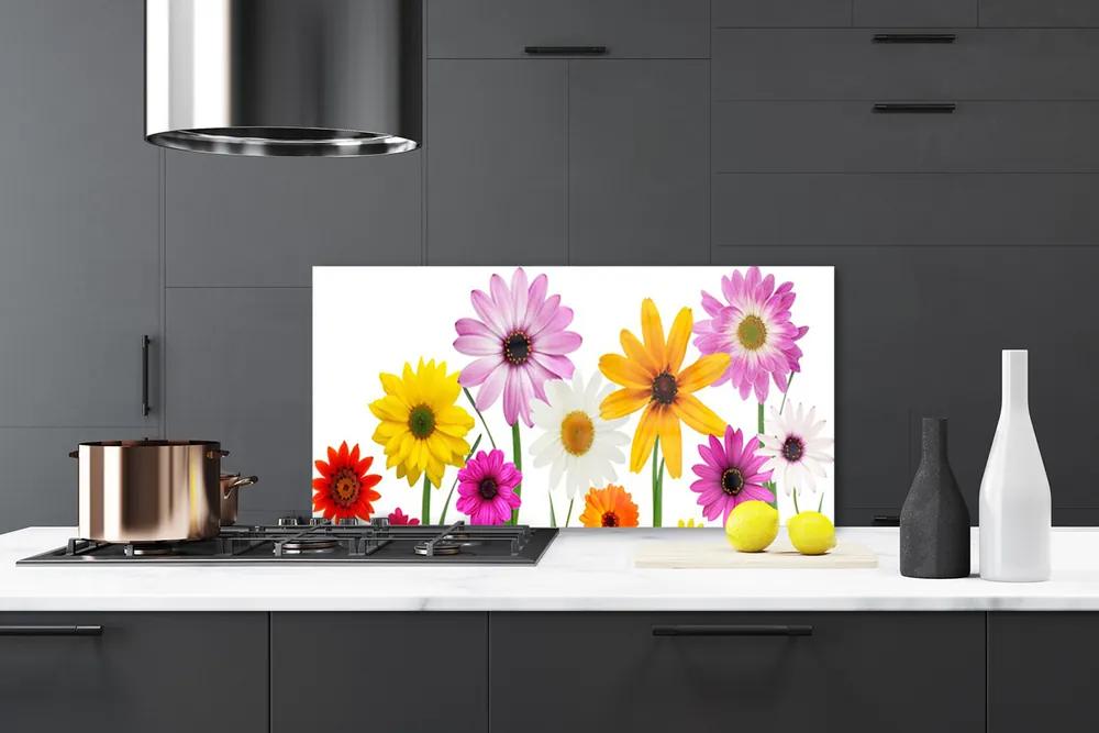 Pannello cucina paraschizzi Fiori colorati della natura 100x50 cm