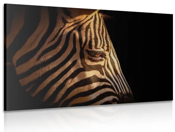 Stampa su tela – Ritratto di zebra