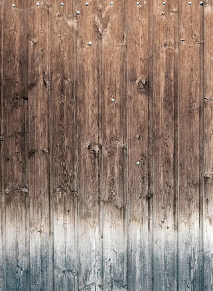 Coordonne Wandbild Wooden Wall - Natural