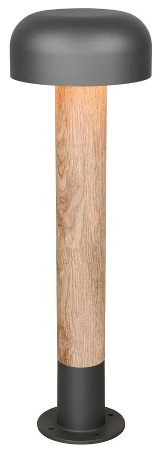 Illuminazione esterna a colonna ø 19 cm Fraser – Trio