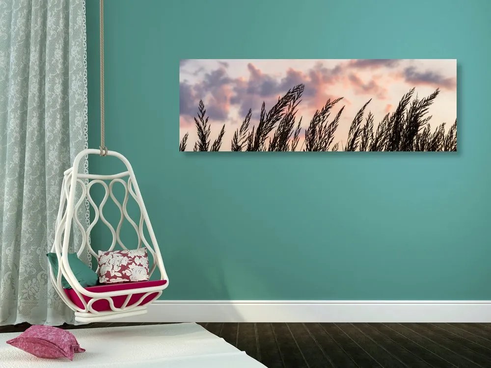 Quadro su tela – Spighe di erba lunga