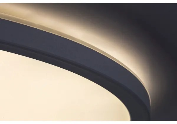 Rabalux 3428 - Plafoniera LED dimmerabile PAVEL LED/22W/230V