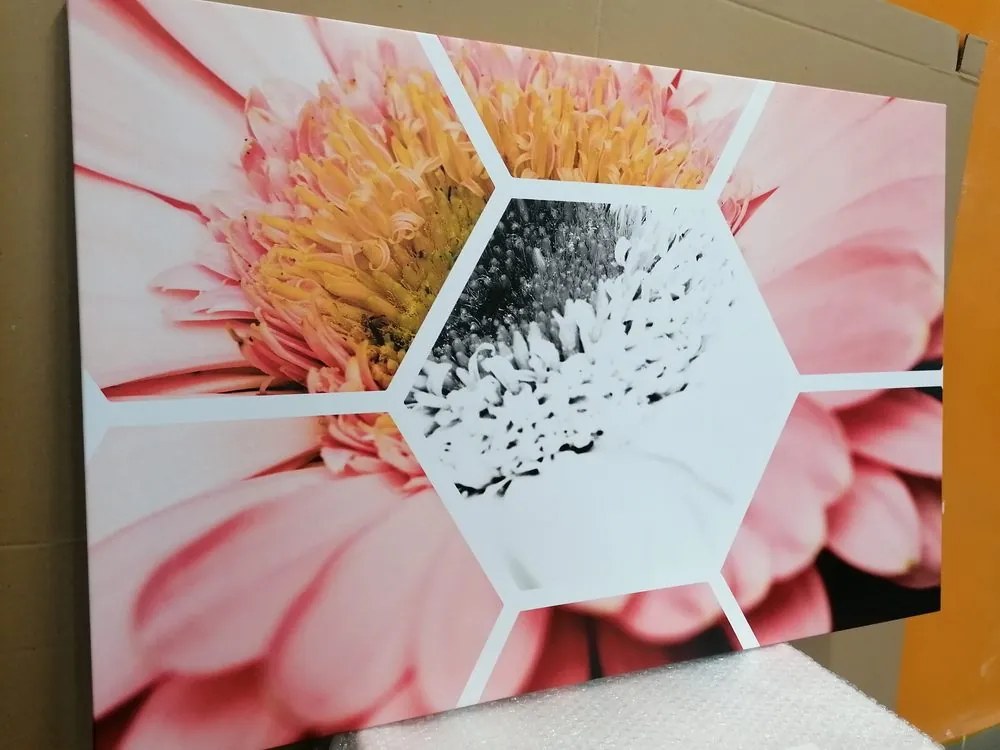 Quadro su tela – Gerbera in esagono