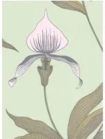 Cole & Son Carta da parati Orchid - Mint/ Hellrosa