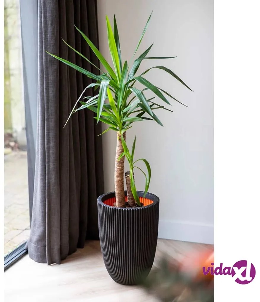 Capi Vaso Elegante Groove 34x46 cm Nero