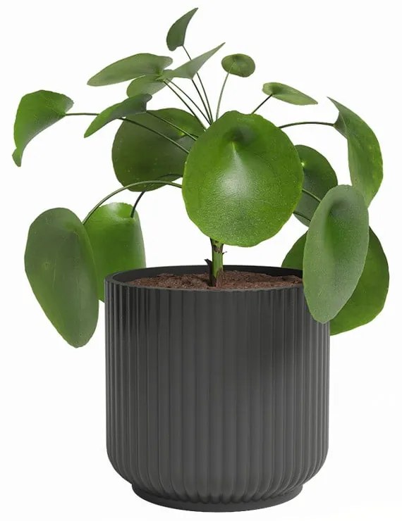 Vaso in ceramica ø 15 cm Luna - Artevasi