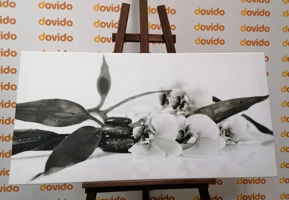 Quadro su tela – Natura morta con pietre Zen in bianco e nero