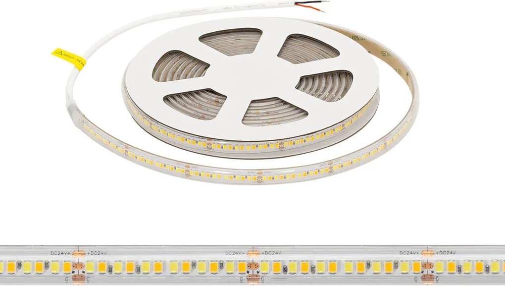 Striscia LED CCT Bianco Variabile 24V 20W/m Professionale - IP67- 5 metri