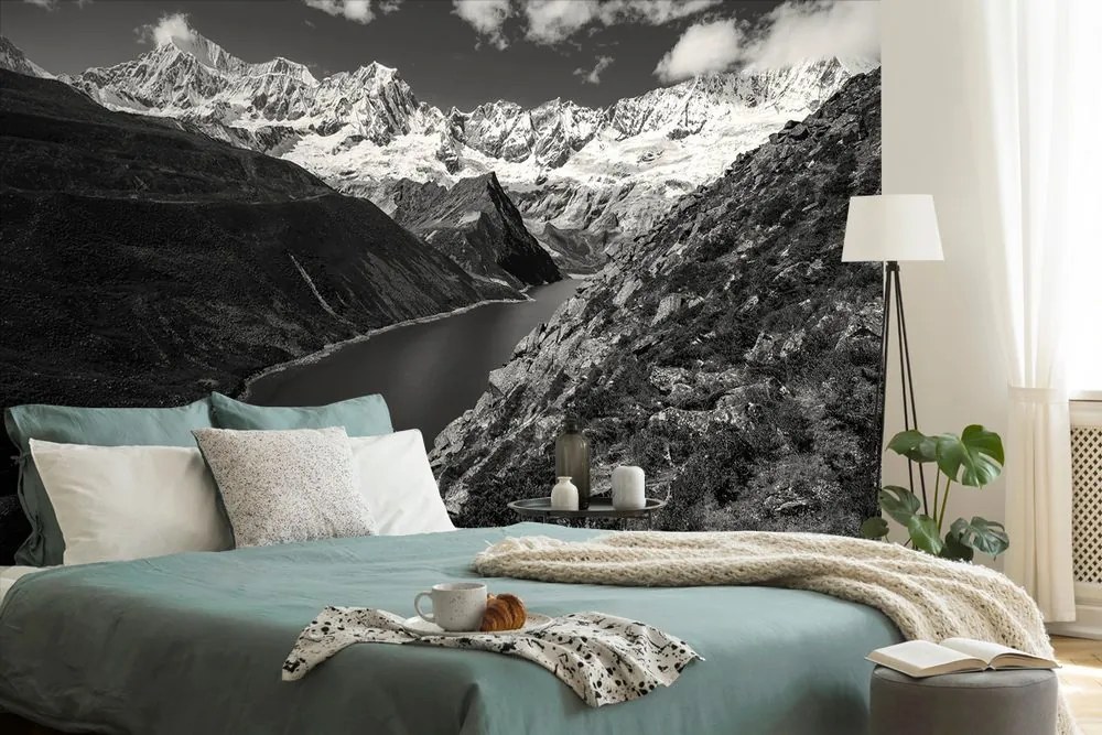 Fotomurale – Parco Patagonia in Argentina in bianco e nero