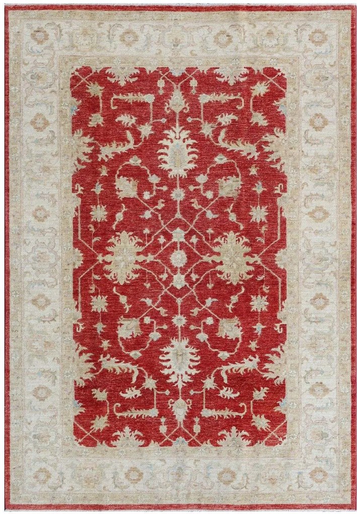 Ziegler Tappeto 170x240 Rosso (Pakistan) Annodato A Mano