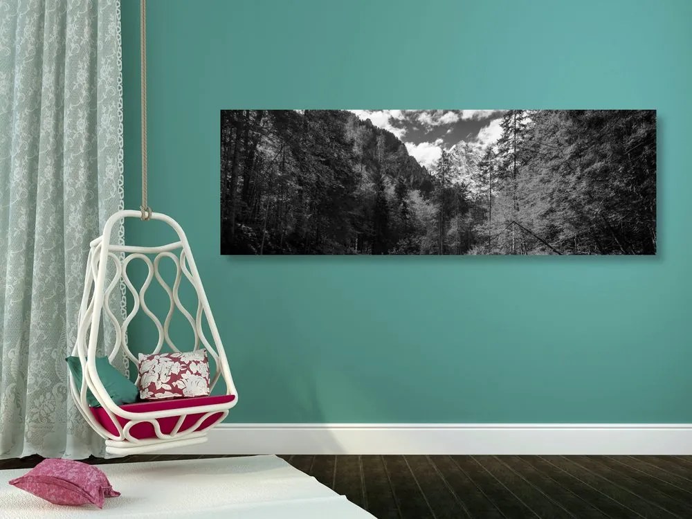 Quadro su tela – Paesaggio montano in bianco e nero