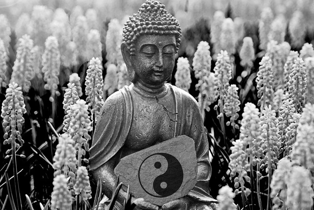 Quadro su tela – Buddha del Jin e Jang in bianco e nero
