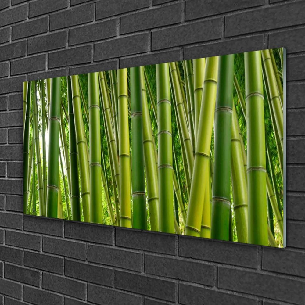 Quadro di vetro Foresta di bambù Germogli di bambù 100x50 cm