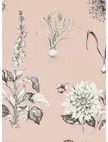 Clarke & Clarke Tapete Roseraie - Blush