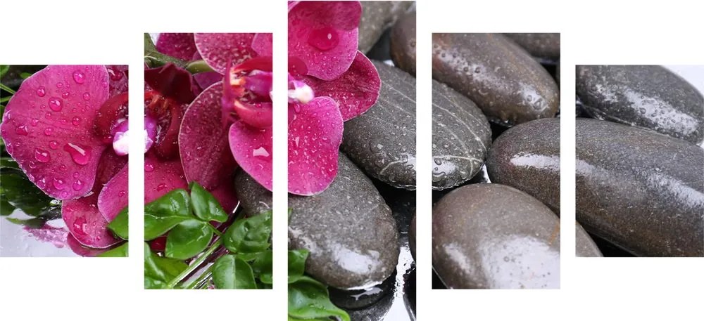 Quadri 5 pezzi – Orchidea fiorita e pietre wellness